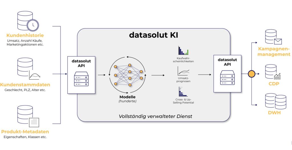Ablauf der KI-Analyse von datasolut von der Datenaufbereitung, zum bilden der Modelle bis hin zur Ausgabe der Ergebnisse und der anschließenden Abspeicherung der Daten.