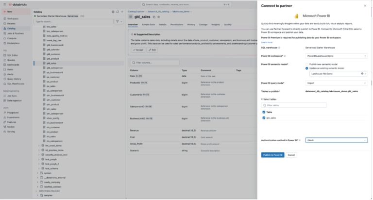 Power BI und Databricks: die wichtigsten Integrationspfade - Datasolut GmbH